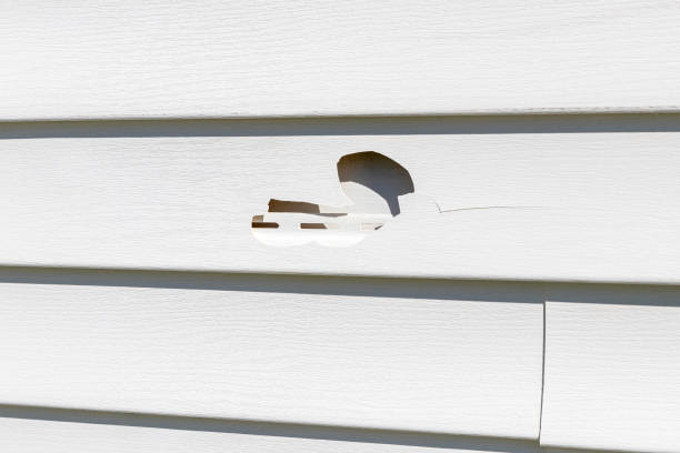 Best Siding Painting and Refinishing  in Glenrock, WY